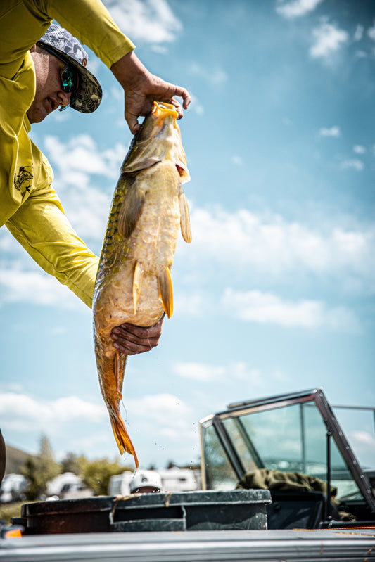 Thank You From All of Us at NOK